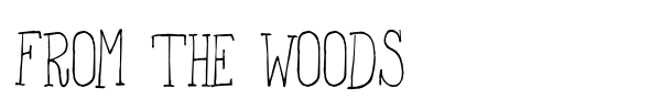 Fonte From the Woods