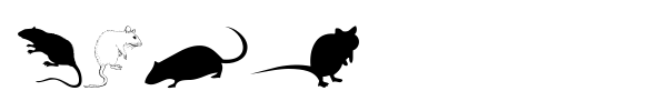 Fonte Rats
